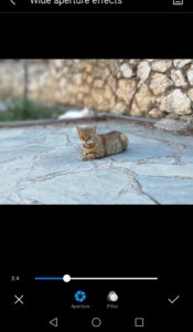 Huawei P10 review - wide aperture effect how-to