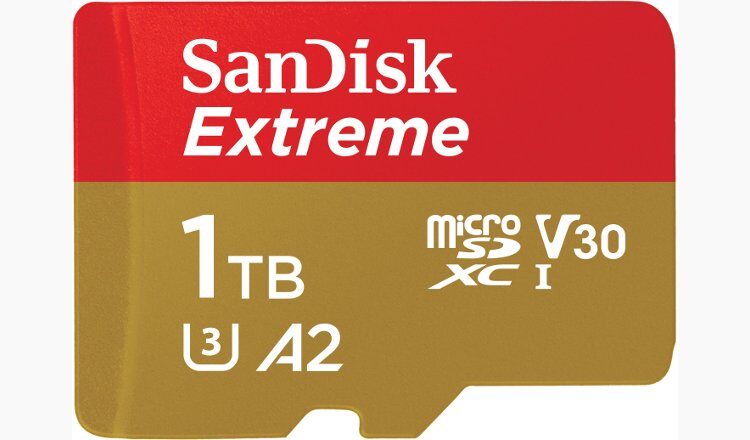 SanDisk 1TB UHS-I microSD