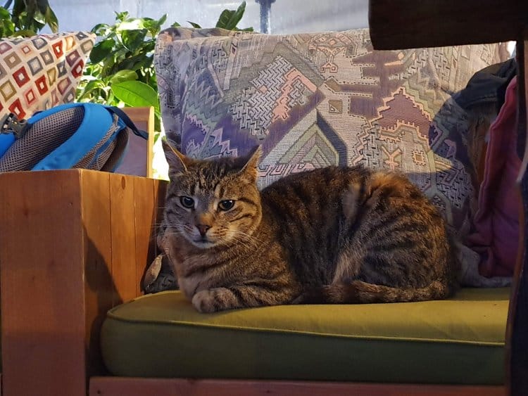 galaxy-s10-plus-image-sample-low-light-hand-held