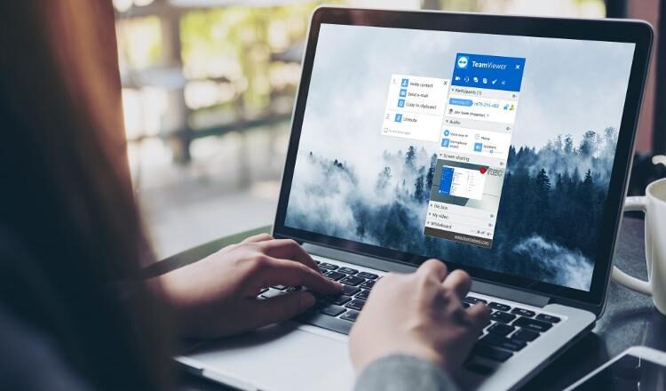 εργασία εξ' αποστάσεως teamviewer