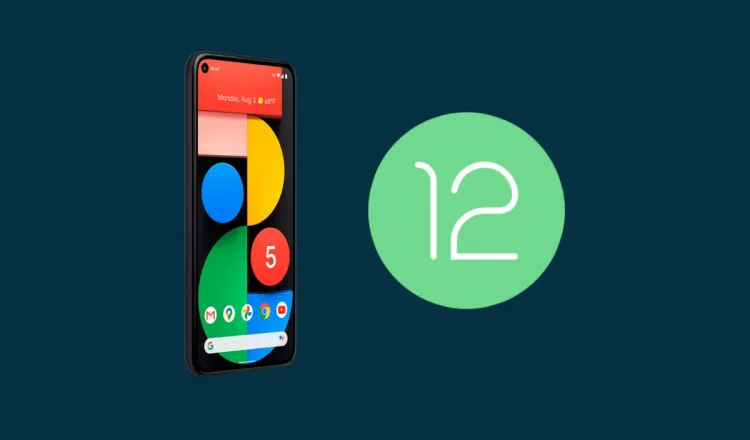 android 12 developer preview