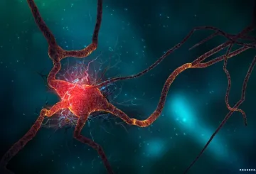 Memory chip από την Samsung που μιμείται τον ανθρώπινο εγκέφαλο