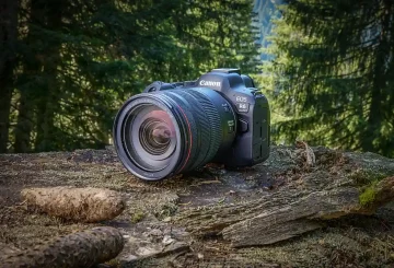 EOS R6 MK II in the forest