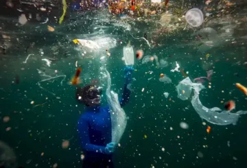 Διαγωνισμός Nikon Environmental Photographer of the Year 2023.