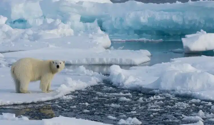 Xiaomi White Paper on Climate Action