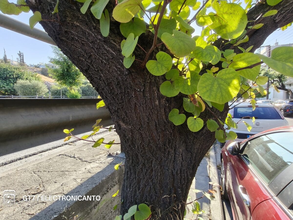 realme GT7 x0,5 zoom