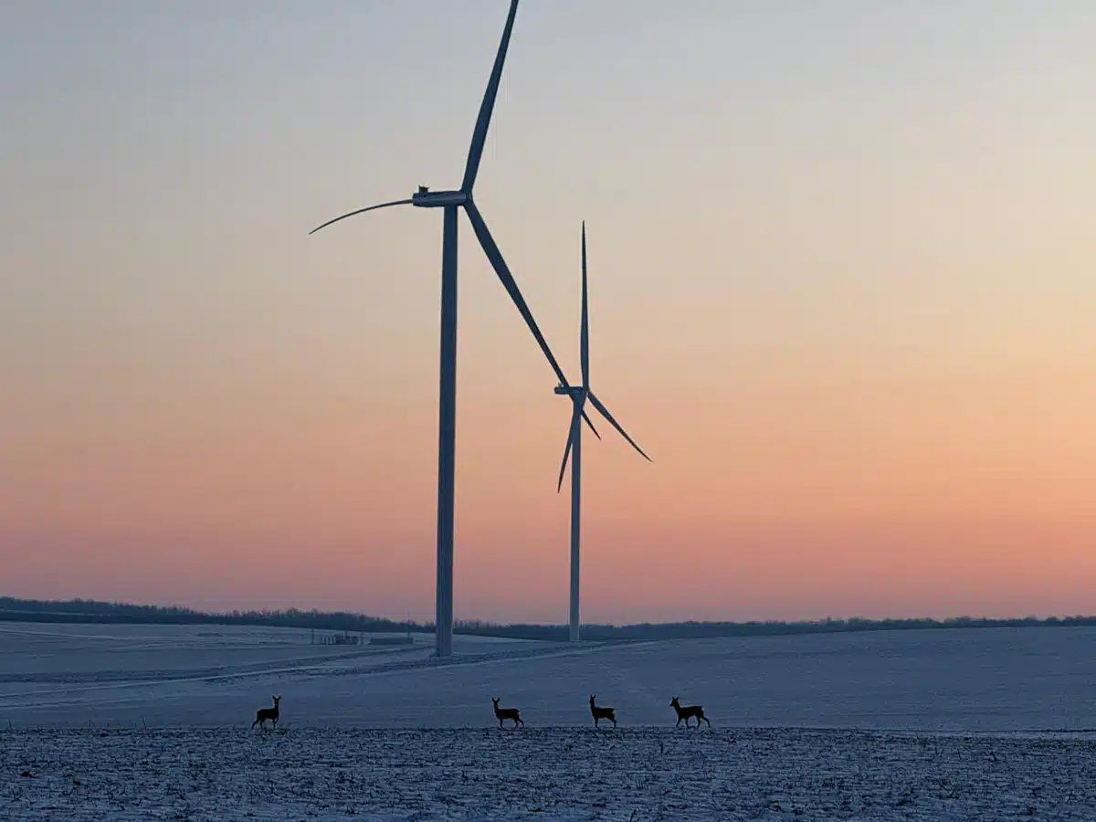 ΔΕΗ Prowind North