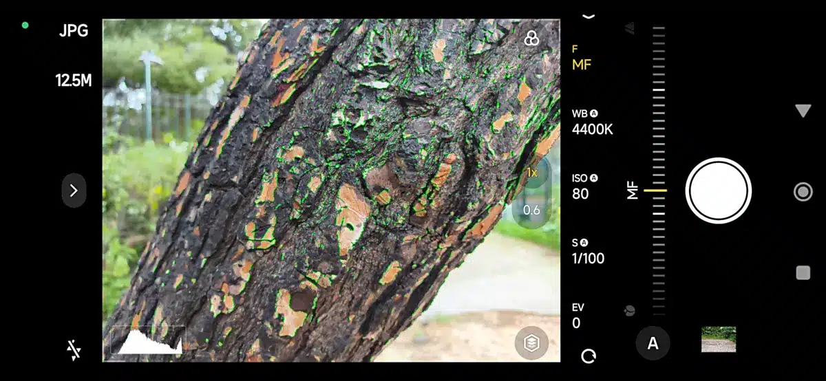 Η δυνατότητα Focus Peaking "πρασινίζει" τα σημεία του κάδρου στα οποία εστιάζει η κάμερα κατά τη χειροκίνητη εστίαση, υποβοηθώντας τον χρήστη-φωτογράφο να "νετάρει" στο θέμα. [Electronicanto]