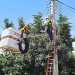 ΔΕΗ fiber